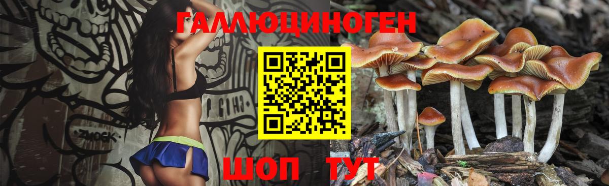 Шебекино  Галлюциногенные грибы Magic Shrooms  Галлюциногенные грибы Psilocybe  Вход с VPN 
