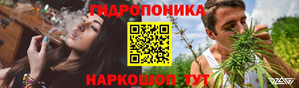 Марихуана план Шебекино